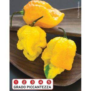 Trinidad Scorpion Giallo F1 - Semi Peperoncino