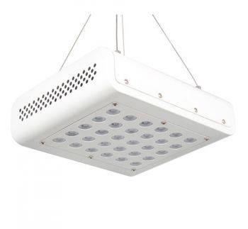Led Mini SUPERNOVA per Coltivazione Indoor - 90w