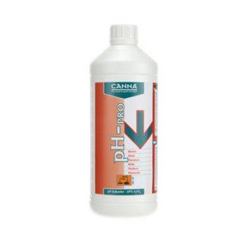 Canna Ph- per Fioritura 1L