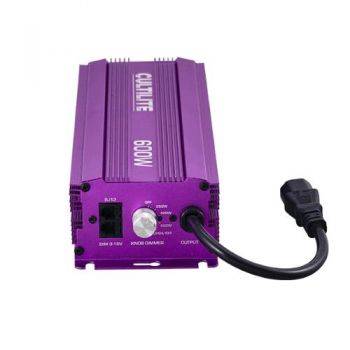 Alimentatore Elettronico 600W CT600 - Dimmerabile e Controllabile