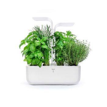 Orto da Interno Intelligente Classic Bianco + 4 Lingots