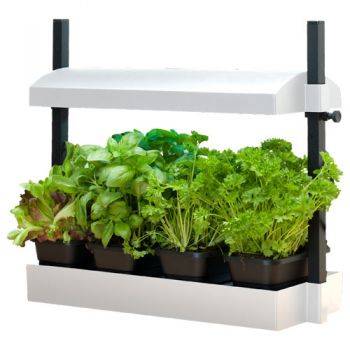 Grow Light Garden 11w - Mini Orto Indoor