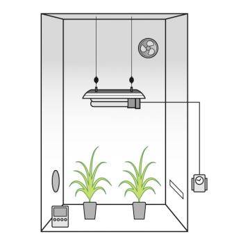 Grow Box Allestita CFL 125W AGRO Basso Consumo + OMAGGIO!