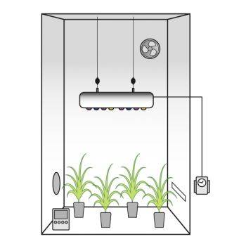 Grow Box Allestita LED ATTIS 200w PRO