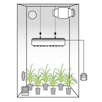 Grow Box Allestita LED Anaters 240w