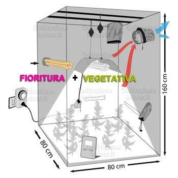 Grow Box Allestita CFL 250W ADVANCED + OMAGGIO!