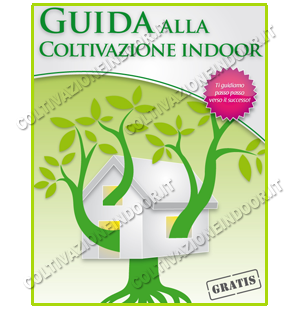 GRATIS - Guida Coltivazione Indoor Pdf + Buono Sconto Incluso