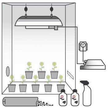 Kit Coltivazione Terra 400W con Grow Box + OMAGGIO! (Max. 8 piante)