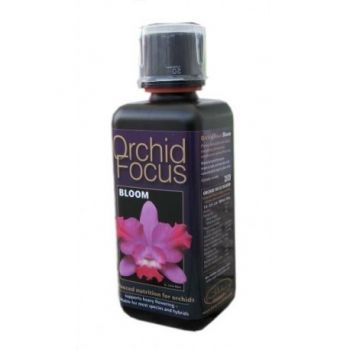 Orchid Focus Bloom 500 ml - Orchidee Fioritura