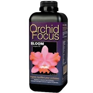 Orchid Focus Bloom 1lt - Orchidee Fioritura