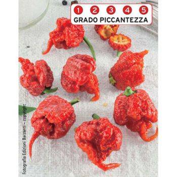 Carolina Reaper F.1- Semi di Peperoncino