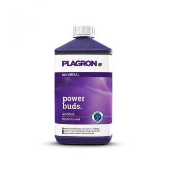 Plagron Power Buds - 100ml