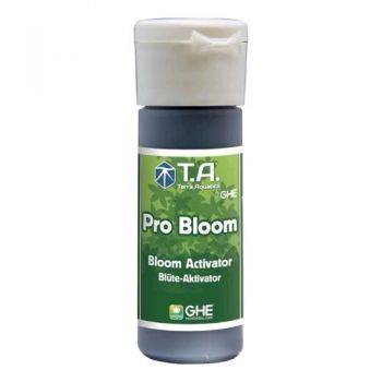 Ghe PRO Bloom 30ml