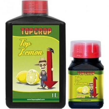 Top Crop - Top Lemon