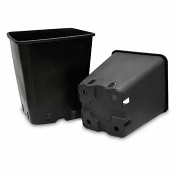 Vaso Quadro 6.5L