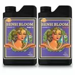 SENSI BLOOM: A&B