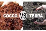 Differenza tra Fibra di Cocco e Terra