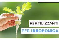 I Migliori Fertilizzanti per Idroponica