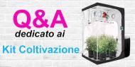 Q&A sui kit di coltivazione indoor completo