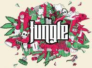 Esploriamo le Quantum Board The Jungle