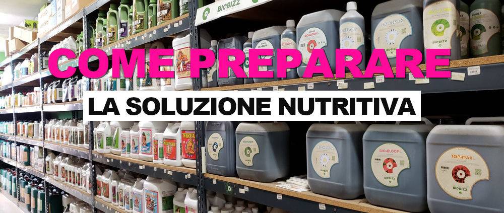 preparare la soluzione nutritiva