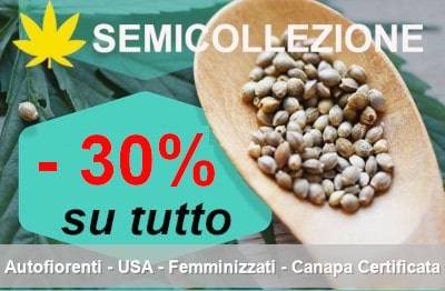 semi collezione scontati del 30%