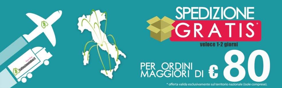 Spedizione Gratuite