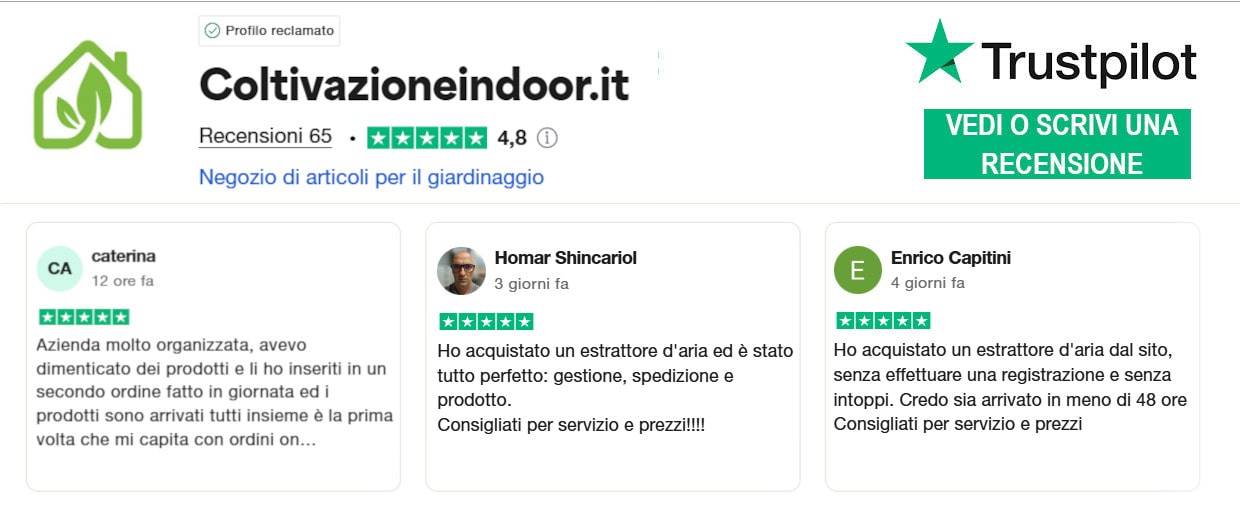 Recensioni trustpilot